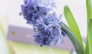 触动心灵的美文短句 关于朋友圈触动心灵的句子