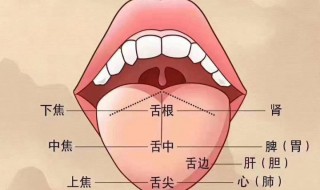 正确的刮舌苔方法 刮舌苔方法的方法