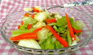 泡酸菜的做法大全 家常做法