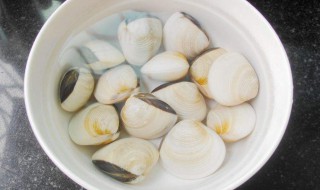 挖白贝的正确方法 有什么技巧