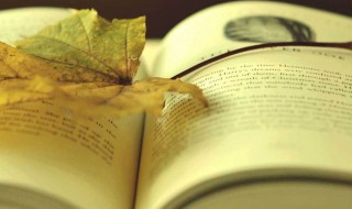 爱丽丝梦游仙境英文美句 爱丽丝梦游仙境英文美句列述