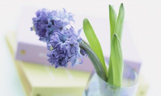 个签唯美爱情句子短句 句句经典深情