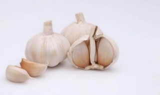 大蒜驱蚊最简单方法 如何用大蒜驱蚊子