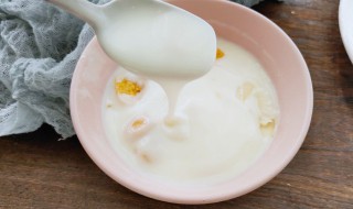 自己做酸奶什么时候放糖 什么时候放糖比较好喝