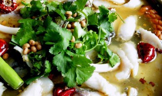 酸菜鱼是用什么鱼做的 用草鱼做最好