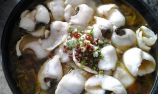 酸菜鱼片的做法窍门 酸菜鱼片如何做