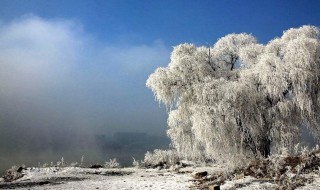 描写雪的诗句有哪些 描写雪的诗句列述