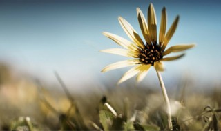 很霸气的句子 有什么比较霸气的句子