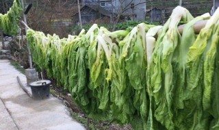 大量蔬菜要怎么保存 方法教给你