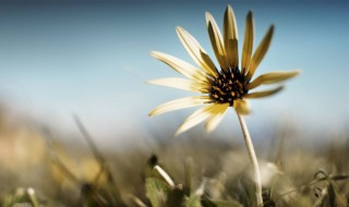 正能量简单一句话 比较简短的正能量说说