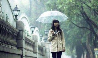 雨天的诗句 雨天的诗句有什么