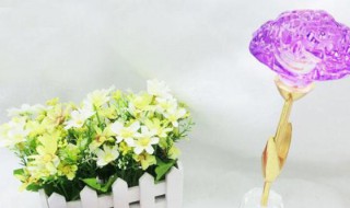 如何给老师送教师节礼物 教师节给老师送什么礼物好