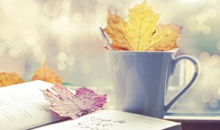 非主流的话 非主流的话有哪些