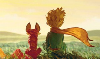 读小王子有感 是怎么写的