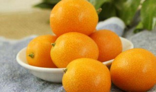 金桔能和酸奶一起吃吗 金桔的巧妙搭配