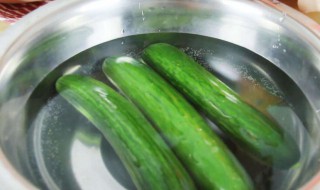 冰箱怎么保存青瓜 冰箱保存青瓜的方法