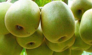 猕猴桃的功能和作用 猕猴桃的好处介绍