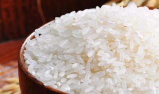 煮粥一般用什么米比较好 煮粥一般用粳米比较好