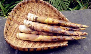 冬笋怎么找准位置 你知道吗