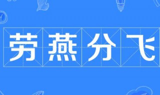 劳燕分飞什么意思 劳燕分飞的含义