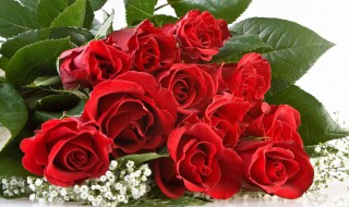 大学教师节的礼物都有什么 大学教师节的礼物推荐