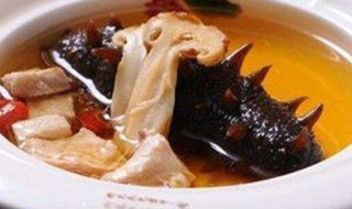 海参要跟什么炖比较好 和鸡肉一起炖好