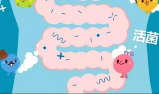 宝宝吃的益生菌要怎么吃 宝宝服用益生菌的方法