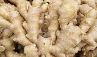 姜还是老的辣还是新的辣 你知道吗