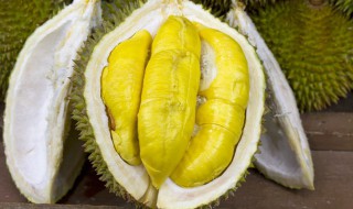 榴莲煲排骨汤的做法 榴莲煲排骨汤的炖法