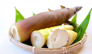 排骨竹笋汤的做法 排骨竹笋汤的简单做法