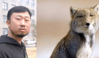 抖音无穷小亮藏狐啥梗什么意思 抖音无穷小亮藏狐梗介绍