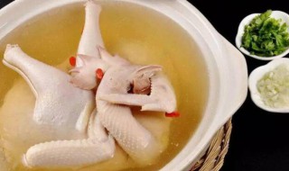 四川炖鸡汤的做法大全 四川炖鸡汤如何做