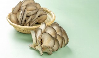 平菇蛋汤做法大全 平菇蛋汤做法有哪些呢