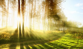 每天坚持晒太阳一年后变化 经常晒太阳的好处