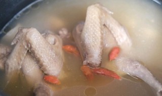 月子鸽子汤的做法 鸽子汤怎么做