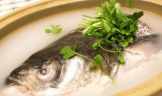 鱼汤做法大全家常 鱼汤怎么熬白