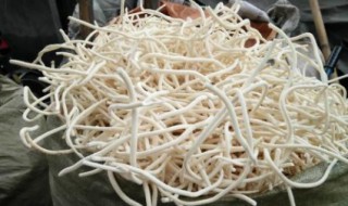 通草猪蹄汤的做法下奶 通草的简介