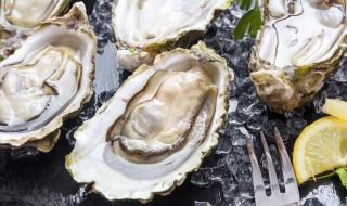 生蚝豆腐汤的做法 生蚝豆腐汤怎么做