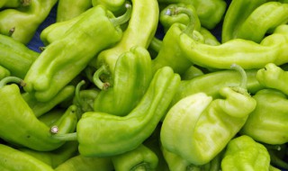 如何做爆炒青椒 爆炒青椒的烹饪方法