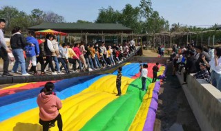 小龙生态园有什么好玩的 小龙生态园有哪些好玩的