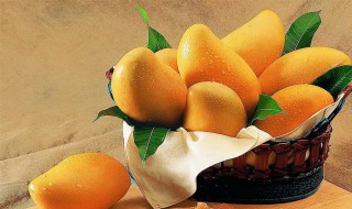 芒果还没熟就有黑斑出来是烂了吗 芒果还没熟就有黑斑出来是不是烂了