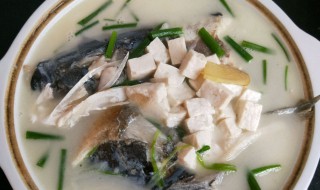 鲢鱼头汤的做法 鲢鱼头汤做法分享