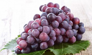 如何清洗提子 怎么清洗提子