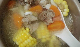 胡萝卜排骨汤的做法大全 不同制作方法胡萝卜排骨汤大全