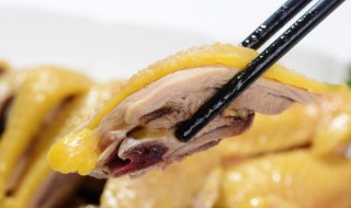 鸡的寓意 鸡有什么寓意