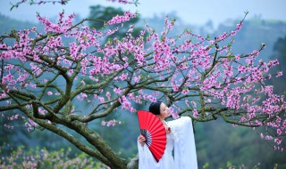 沐浴桃花是什么意思 沐浴桃花的意思
