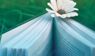 同流合污的意思 同流合污的释义