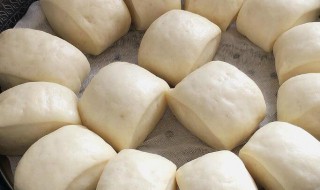 家常馒头做法大全 家常馒头如何做