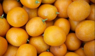 金橘怎么存放 金桔四种有效保存方法分享