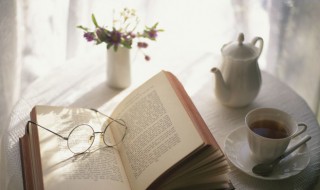 扶衬的意思 扶衬是什么意思